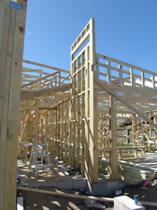 Pre-nail Frames